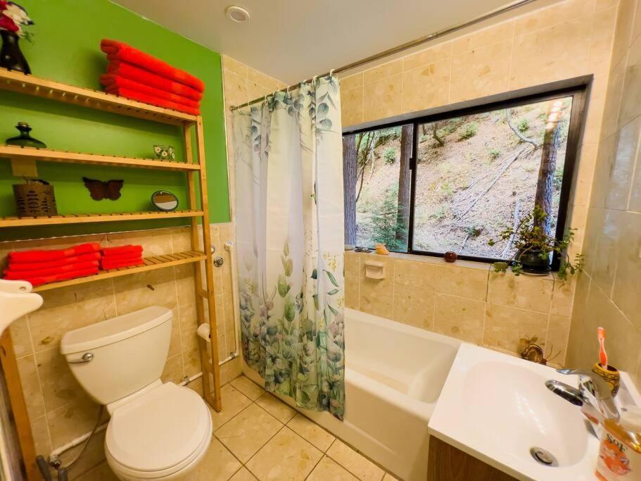 Ferienwohnung Little House In The Redwoods With A Hot Tub! Garberville Exterior foto